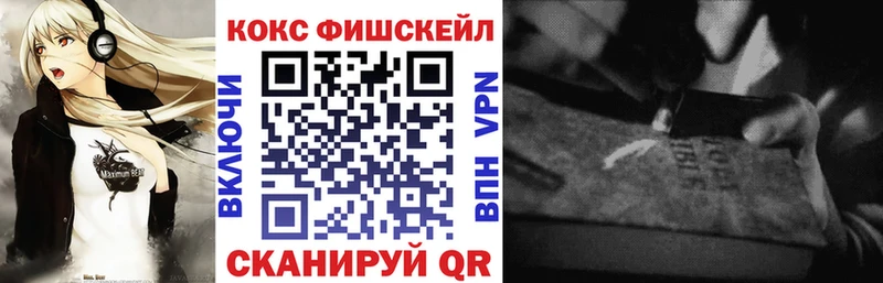 COCAIN Fish Scale  Купить  Тайга 