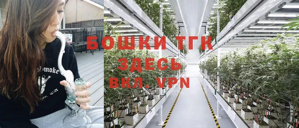стаф Семикаракорск