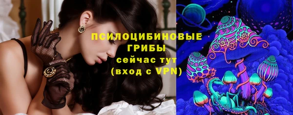 стаф Семикаракорск