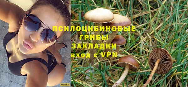 стаф Семикаракорск