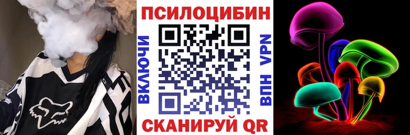 Псилоцибиновые грибы Psilocybine cubensis  Купить  Тайга 